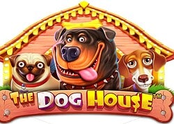 Dog House Jackpot City Casino Game